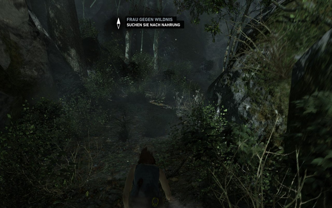 [05/03/2013] Tomb Raider: Die PC-Version im PCGH-Test - Kann die Grafik überzeugen? (18)