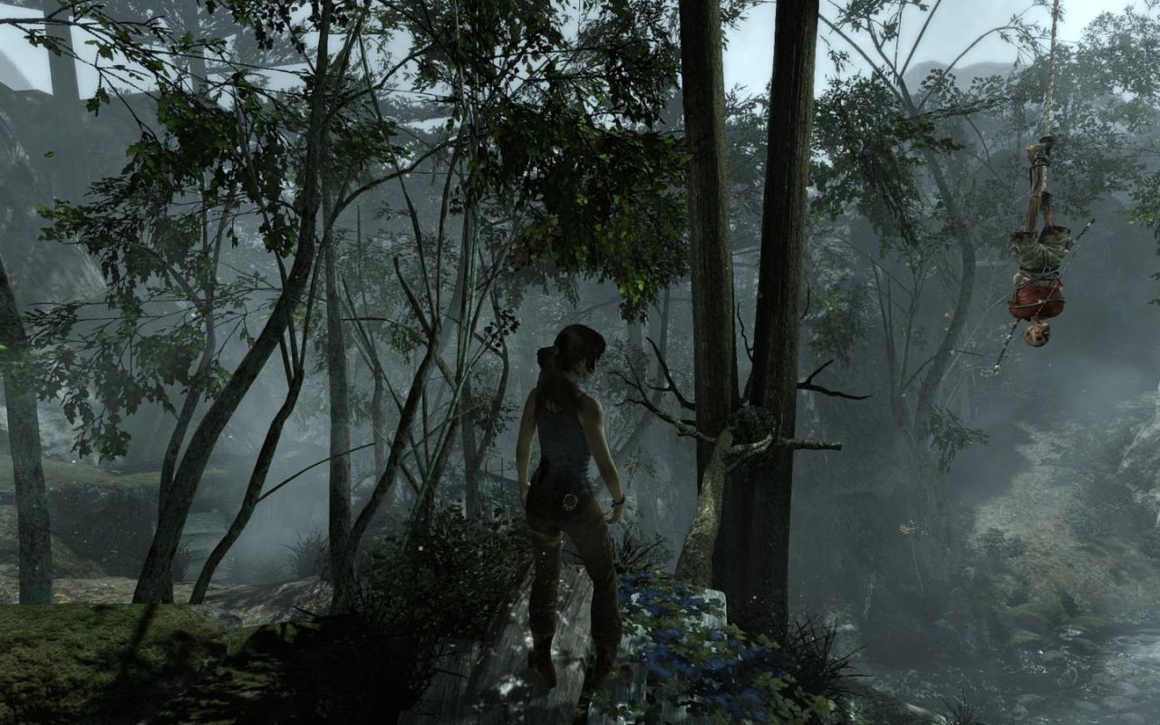 [05/03/2013] Tomb Raider: Die PC-Version im PCGH-Test - Kann die Grafik überzeugen? (20)