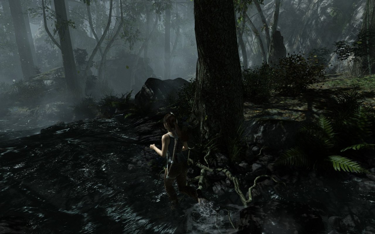 [05/03/2013] Tomb Raider: Die PC-Version im PCGH-Test - Kann die Grafik überzeugen? (25)