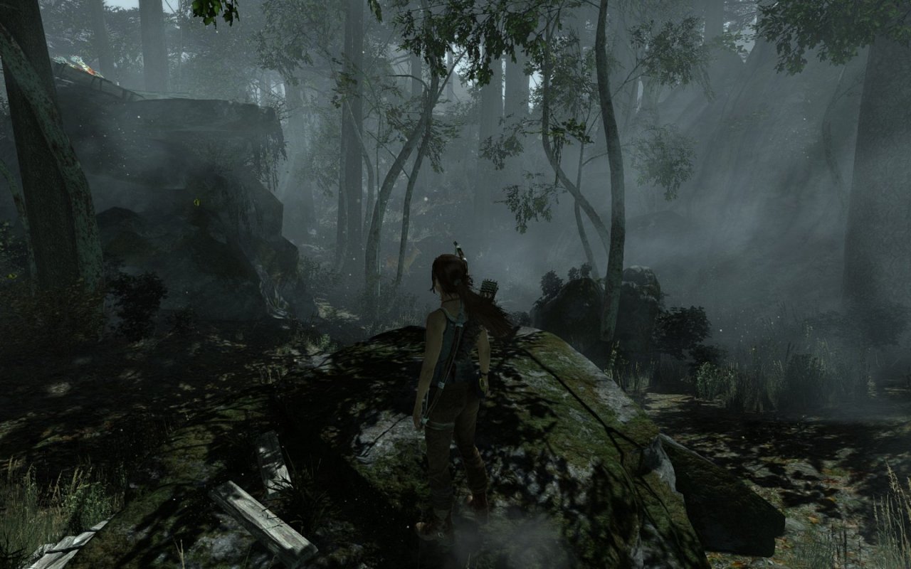 [05/03/2013] Tomb Raider: Die PC-Version im PCGH-Test - Kann die Grafik überzeugen? (26)