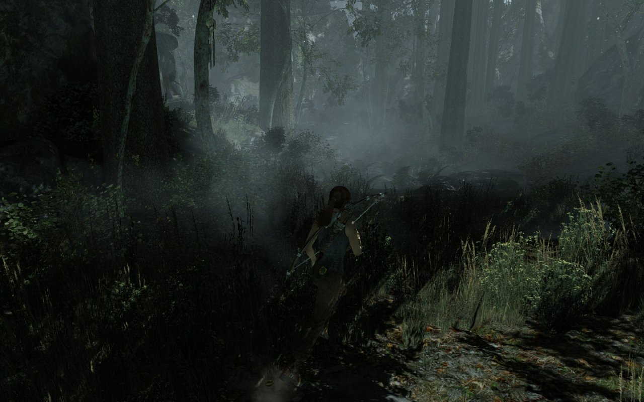 [05/03/2013] Tomb Raider: Die PC-Version im PCGH-Test - Kann die Grafik überzeugen? (27)