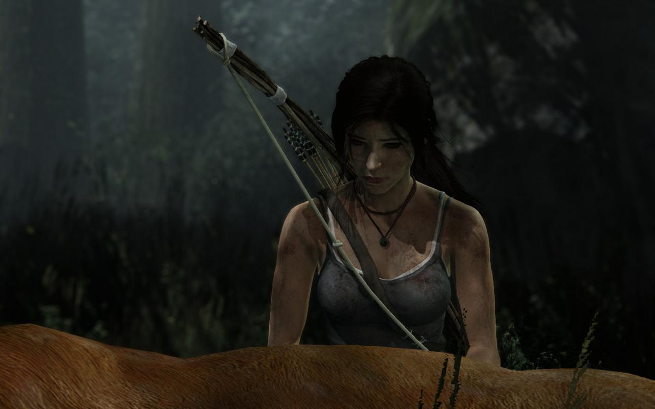 [05/03/2013] Tomb Raider: Die PC-Version im PCGH-Test - Kann die Grafik überzeugen? (29)