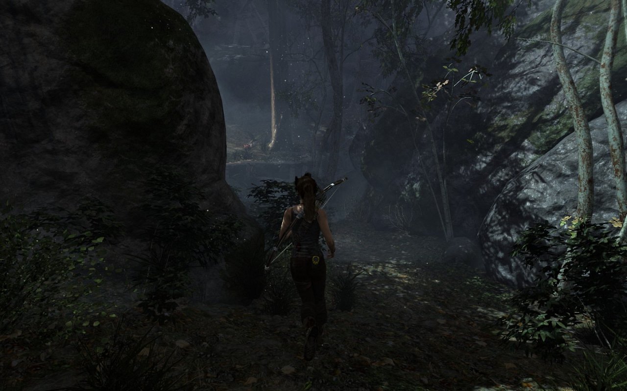 [05/03/2013] Tomb Raider: Die PC-Version im PCGH-Test - Kann die Grafik überzeugen? (40)