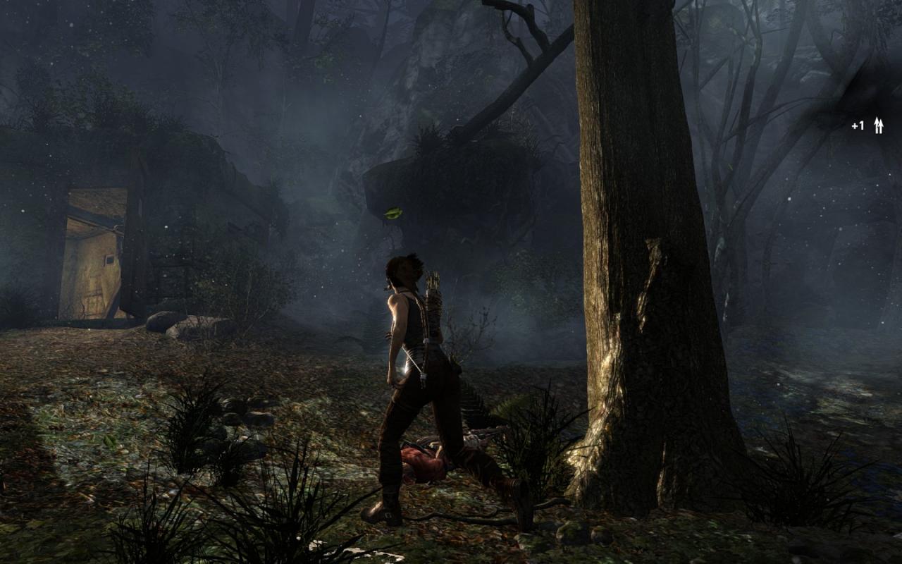[05/03/2013] Tomb Raider: Die PC-Version im PCGH-Test - Kann die Grafik überzeugen? (41)