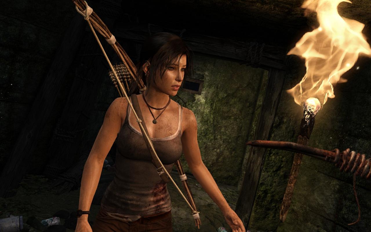 [05/03/2013] Tomb Raider: Die PC-Version im PCGH-Test - Kann die Grafik überzeugen? (42)