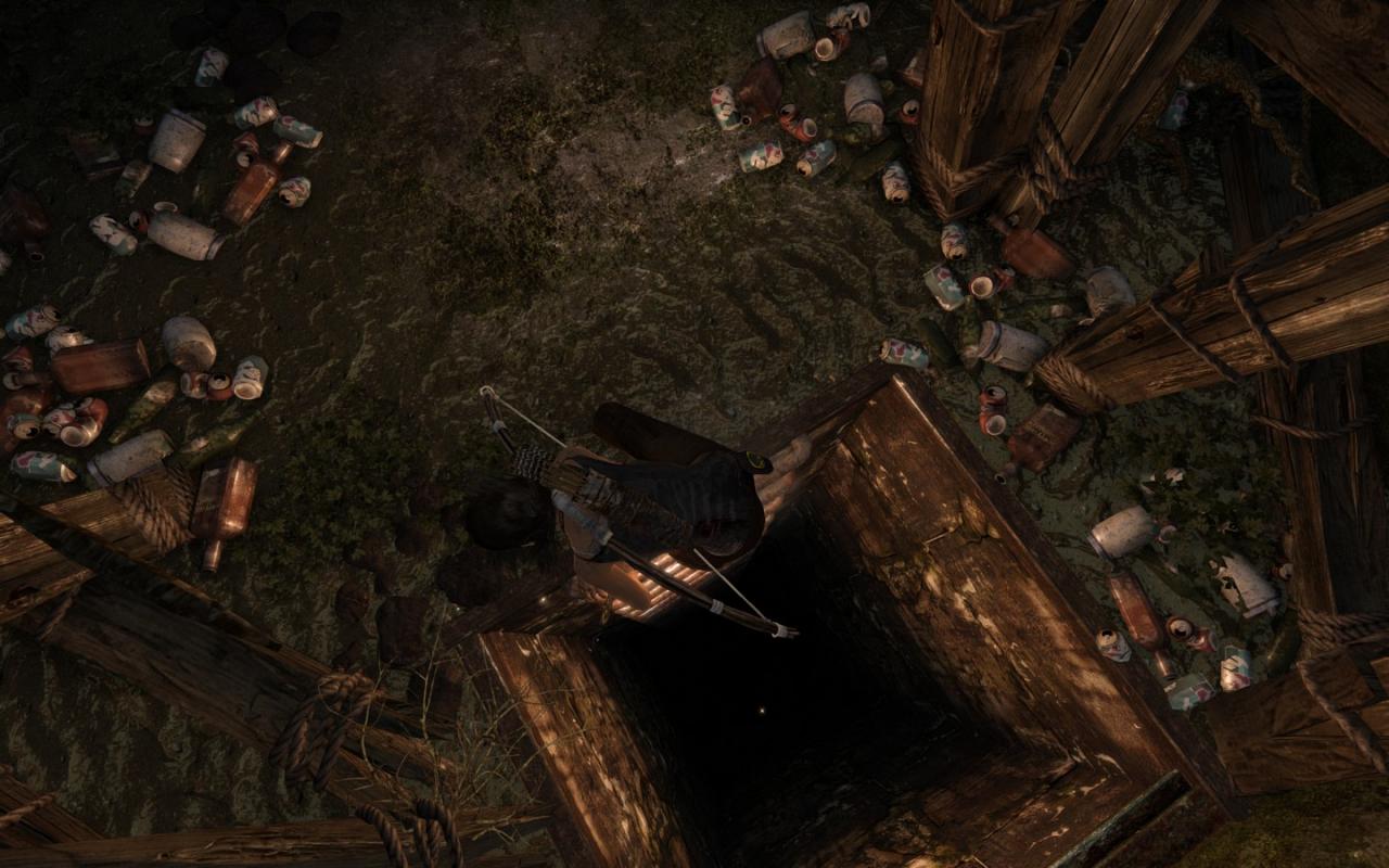 [05/03/2013] Tomb Raider: Die PC-Version im PCGH-Test - Kann die Grafik überzeugen? (43)