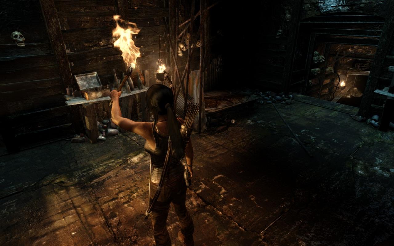 [05/03/2013] Tomb Raider: Die PC-Version im PCGH-Test - Kann die Grafik überzeugen? (5)