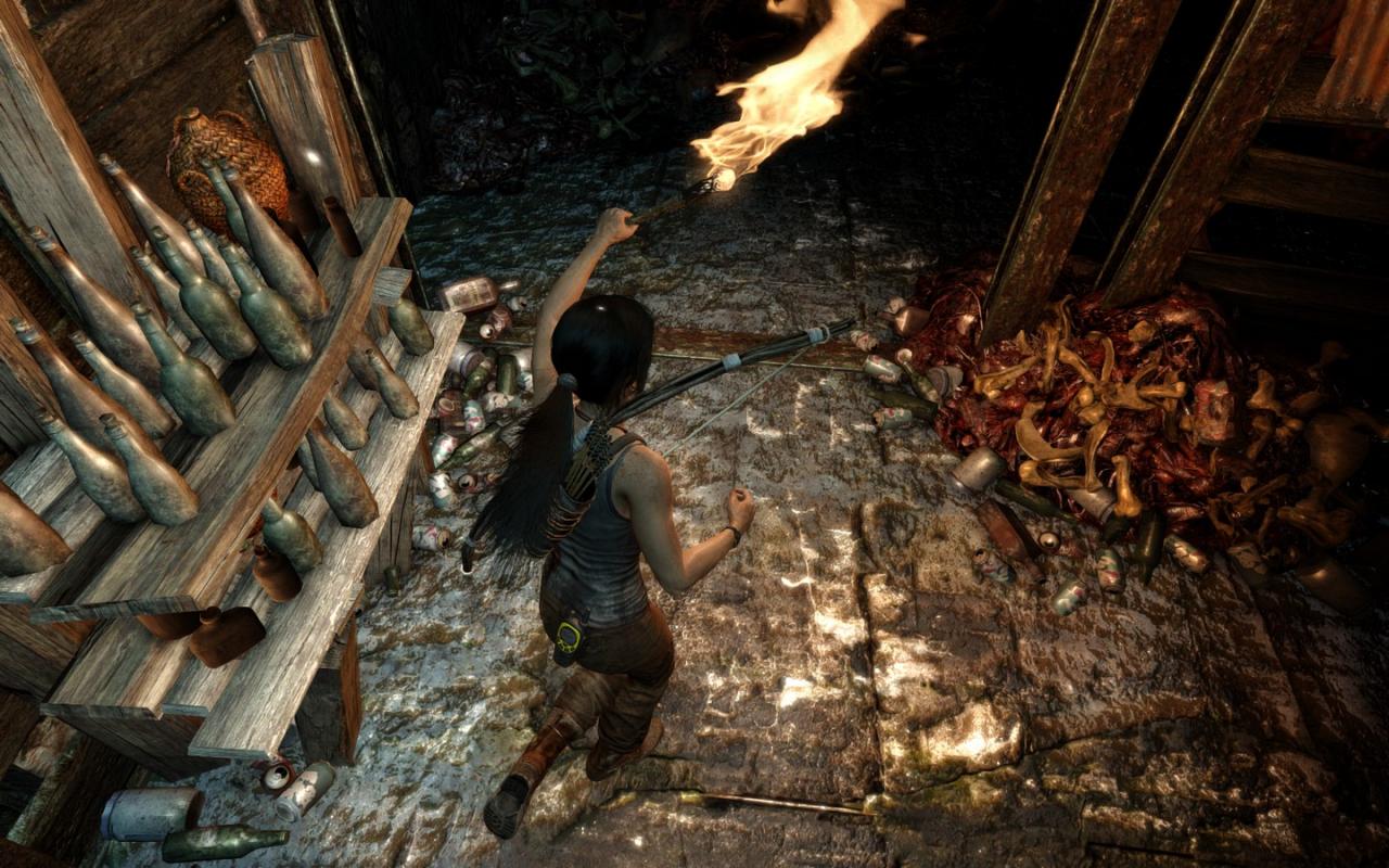 [05/03/2013] Tomb Raider: Die PC-Version im PCGH-Test - Kann die Grafik überzeugen? (1)