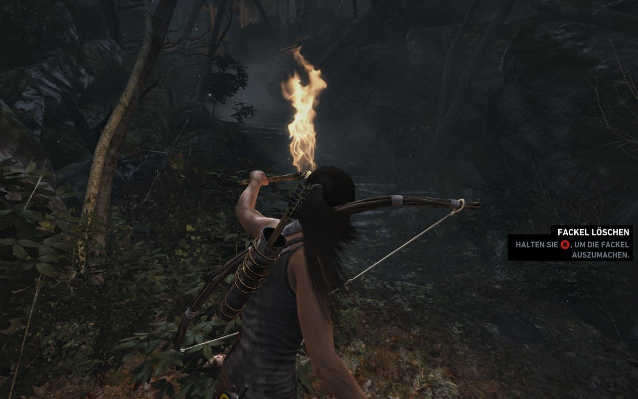 [05/03/2013] Tomb Raider: Die PC-Version im PCGH-Test - Kann die Grafik überzeugen? (50)