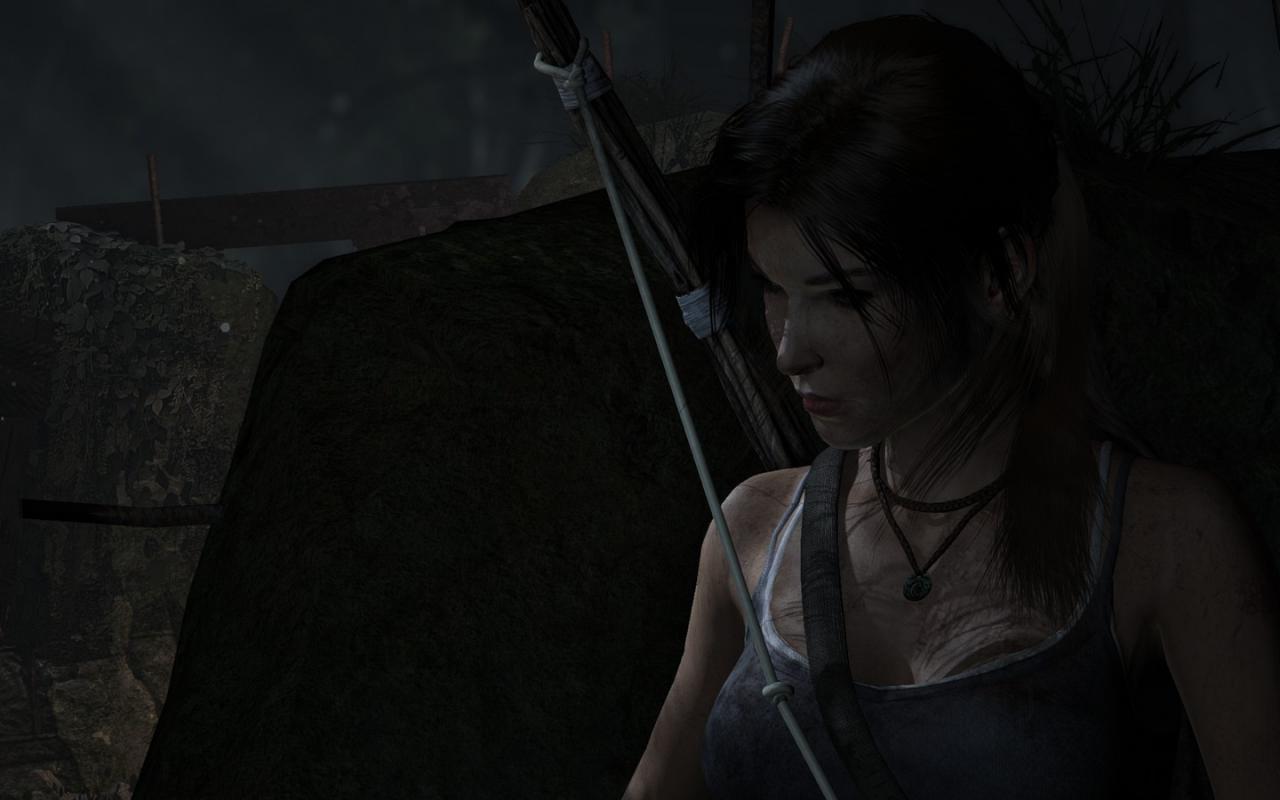 [05/03/2013] Tomb Raider: Die PC-Version im PCGH-Test - Kann die Grafik überzeugen? (51)