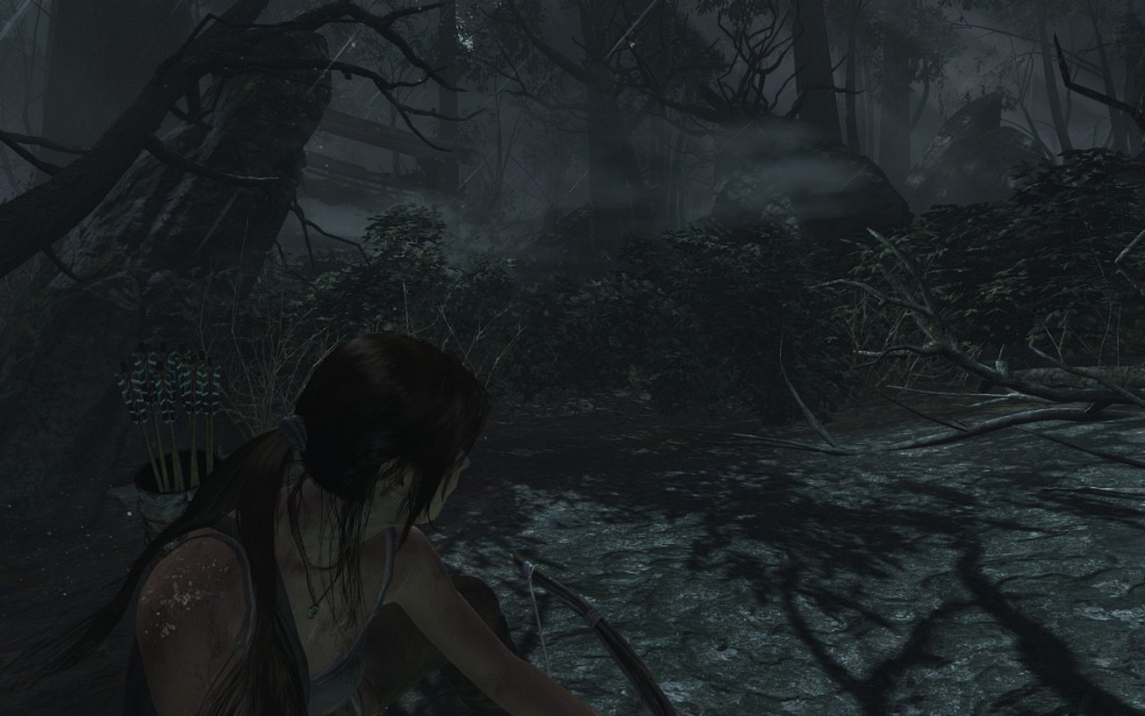 [05/03/2013] Tomb Raider: Die PC-Version im PCGH-Test - Kann die Grafik überzeugen? (55)