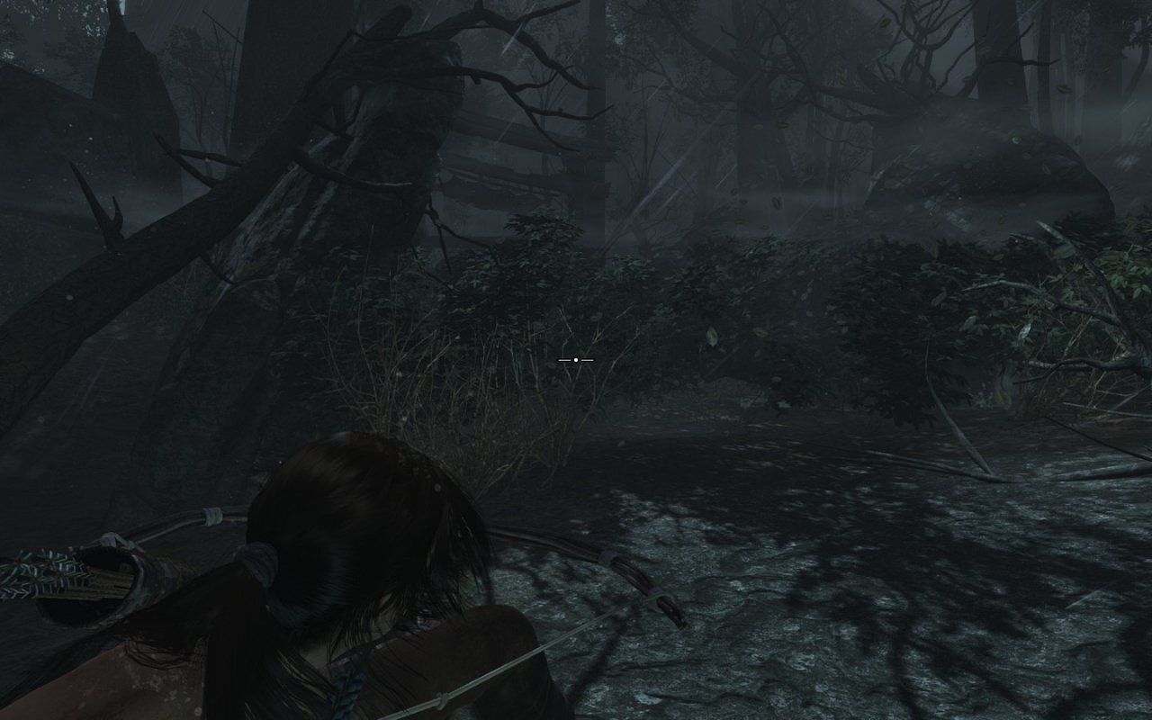 [05/03/2013] Tomb Raider: Die PC-Version im PCGH-Test - Kann die Grafik überzeugen? (56)