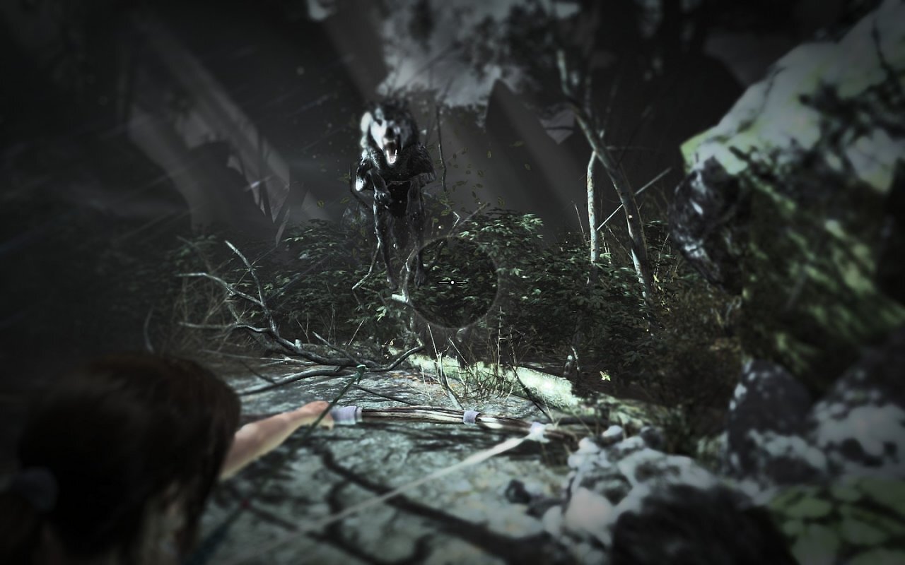 [05/03/2013] Tomb Raider: Die PC-Version im PCGH-Test - Kann die Grafik überzeugen? (57)