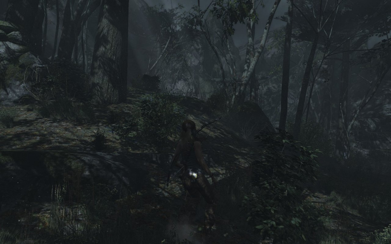 [05/03/2013] Tomb Raider: Die PC-Version im PCGH-Test - Kann die Grafik überzeugen? (62)