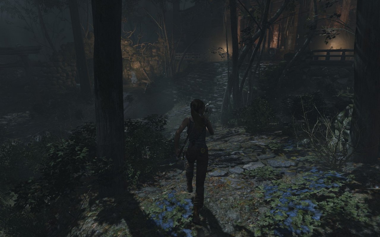 [05/03/2013] Tomb Raider: Die PC-Version im PCGH-Test - Kann die Grafik überzeugen? (63)