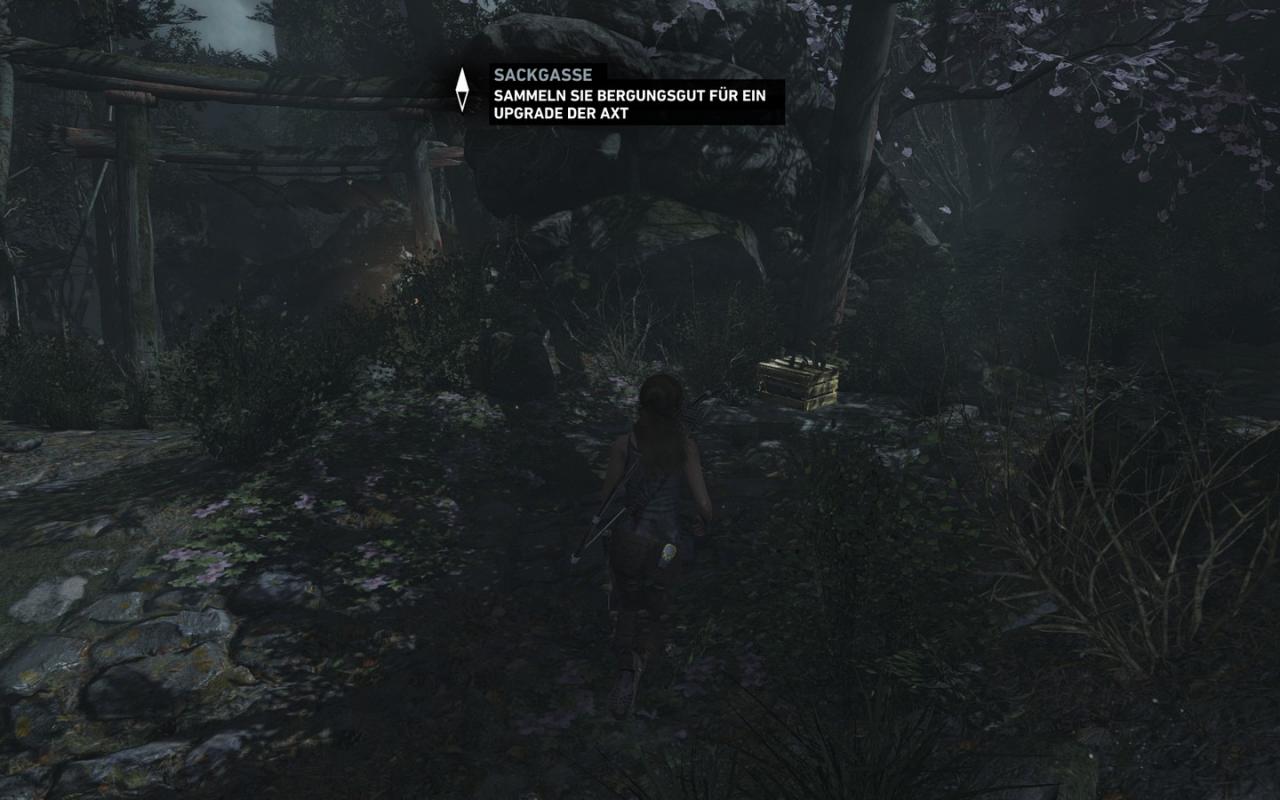 [05/03/2013] Tomb Raider: Die PC-Version im PCGH-Test - Kann die Grafik überzeugen? (65)