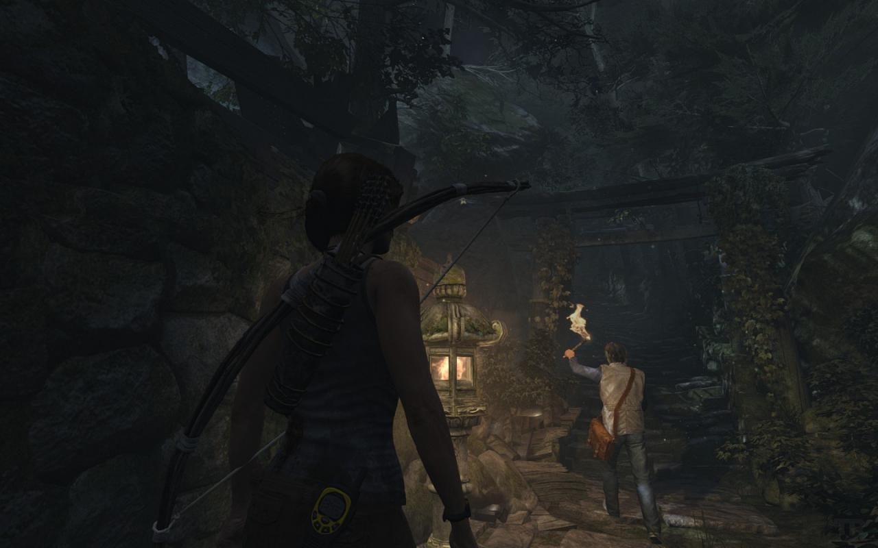 [05/03/2013] Tomb Raider: Die PC-Version im PCGH-Test - Kann die Grafik überzeugen? (68)