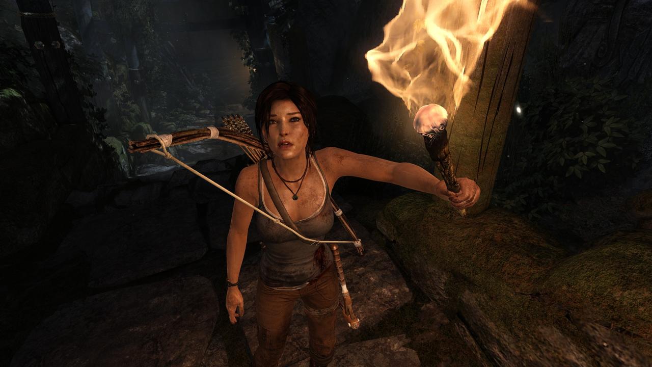 [04/03/2013] Tomb Raider PC maxed out (1)