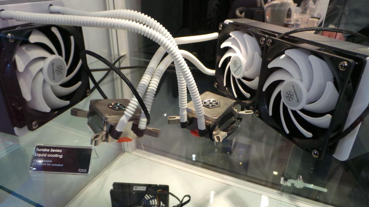 [05/03/2013] Silverstone mit eigener Kompaktwasserkühlung auf der Cebit (3)