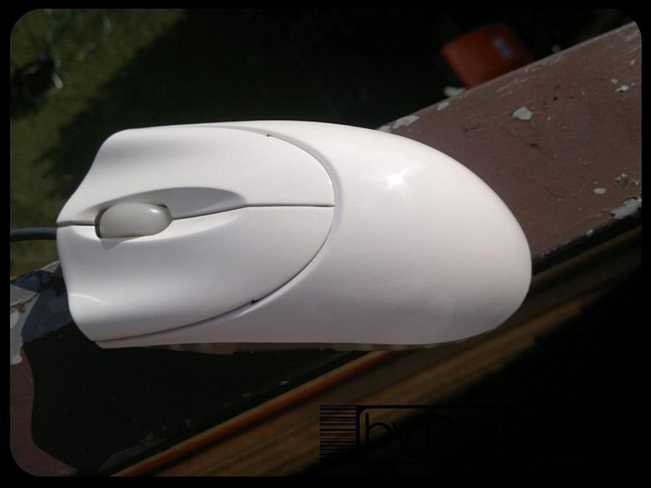 [12/04/2013] Update vom 14.04.: Tastatur nimmt ein Bad, darauf tippte man in den 80ern (20)