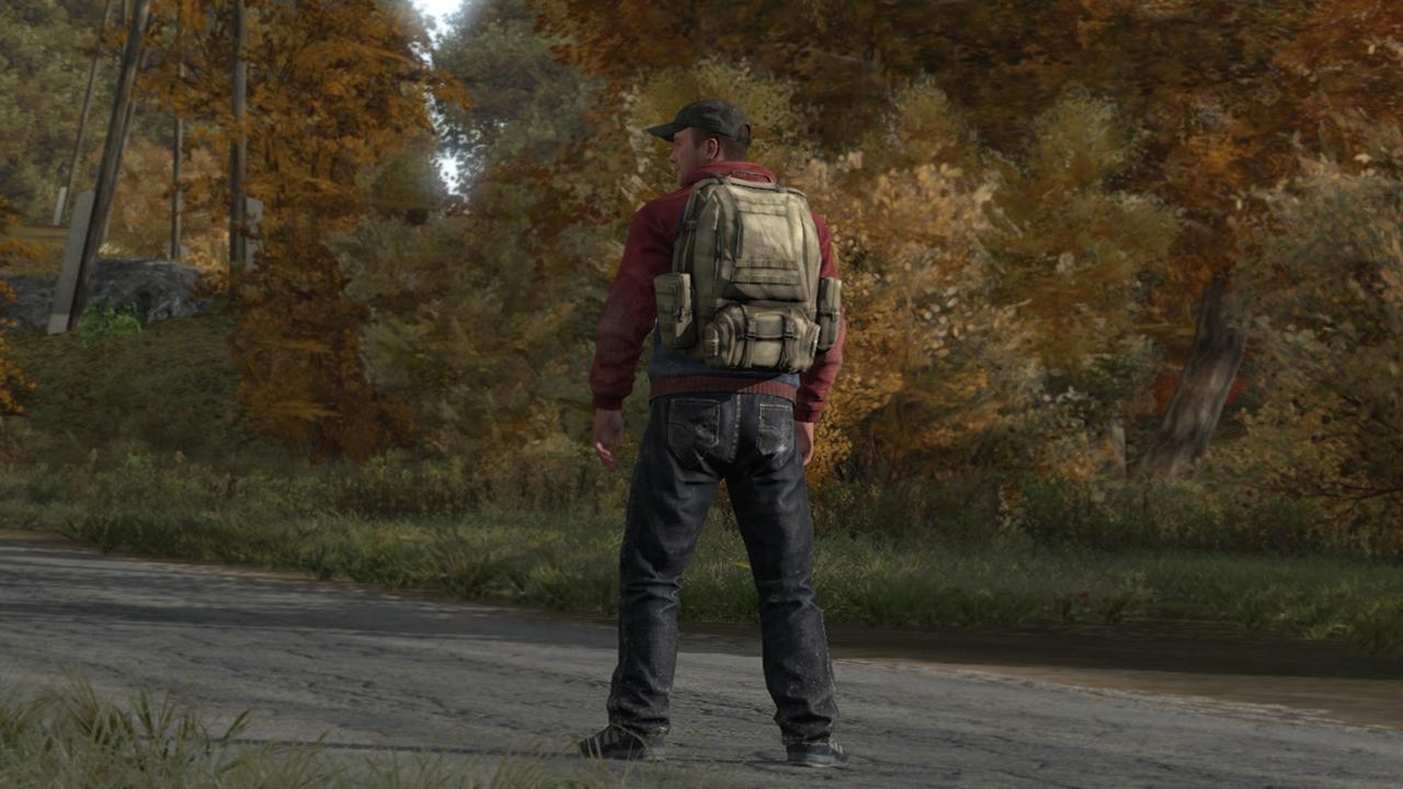 [14/06/2013] Day Z Standalone 43 Stimmen, 11.62%