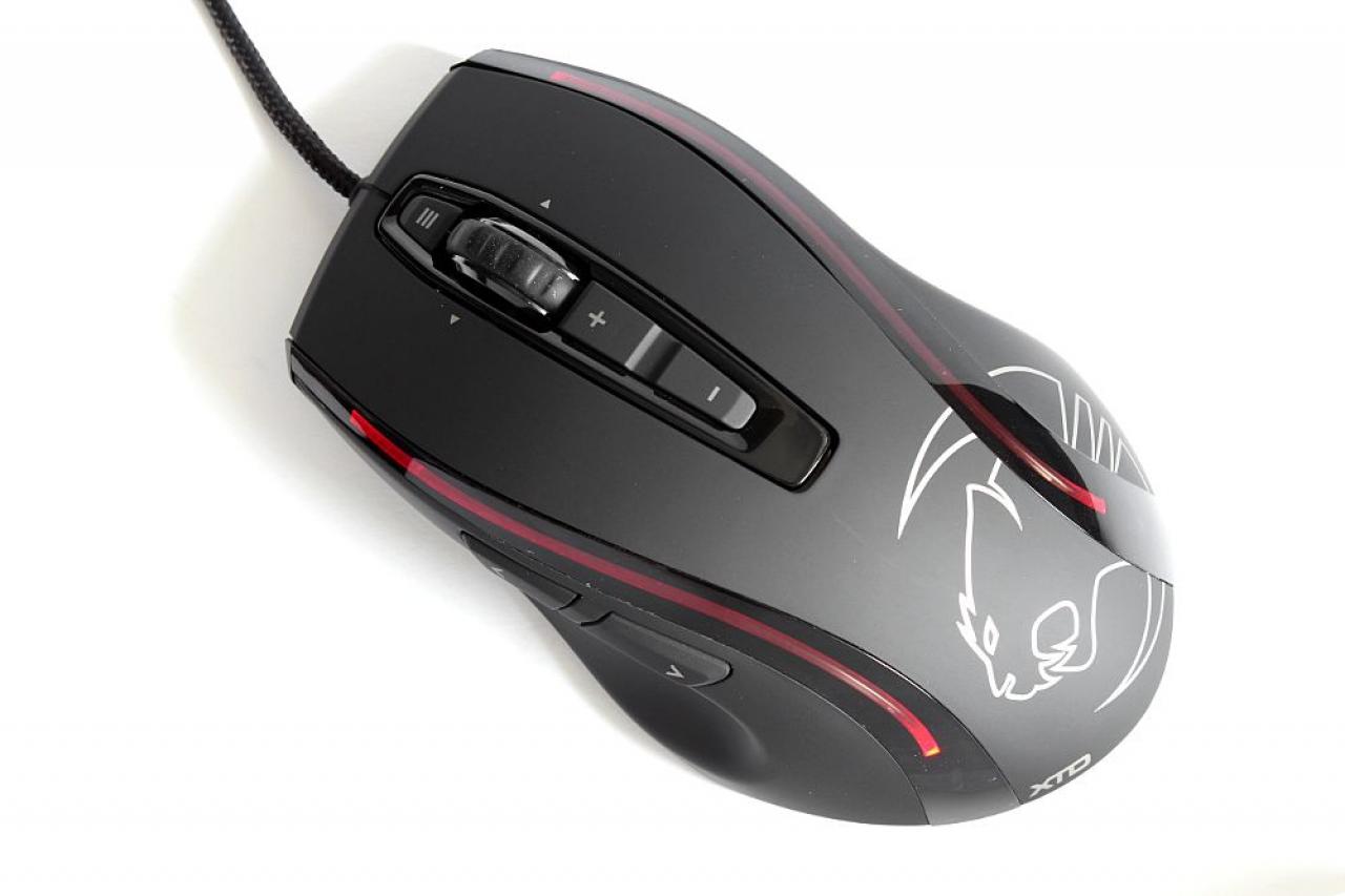 [14/06/2013] Update vom 17.06.: Lackierte Modding-Maus mit Schwanz und Höckern (13)