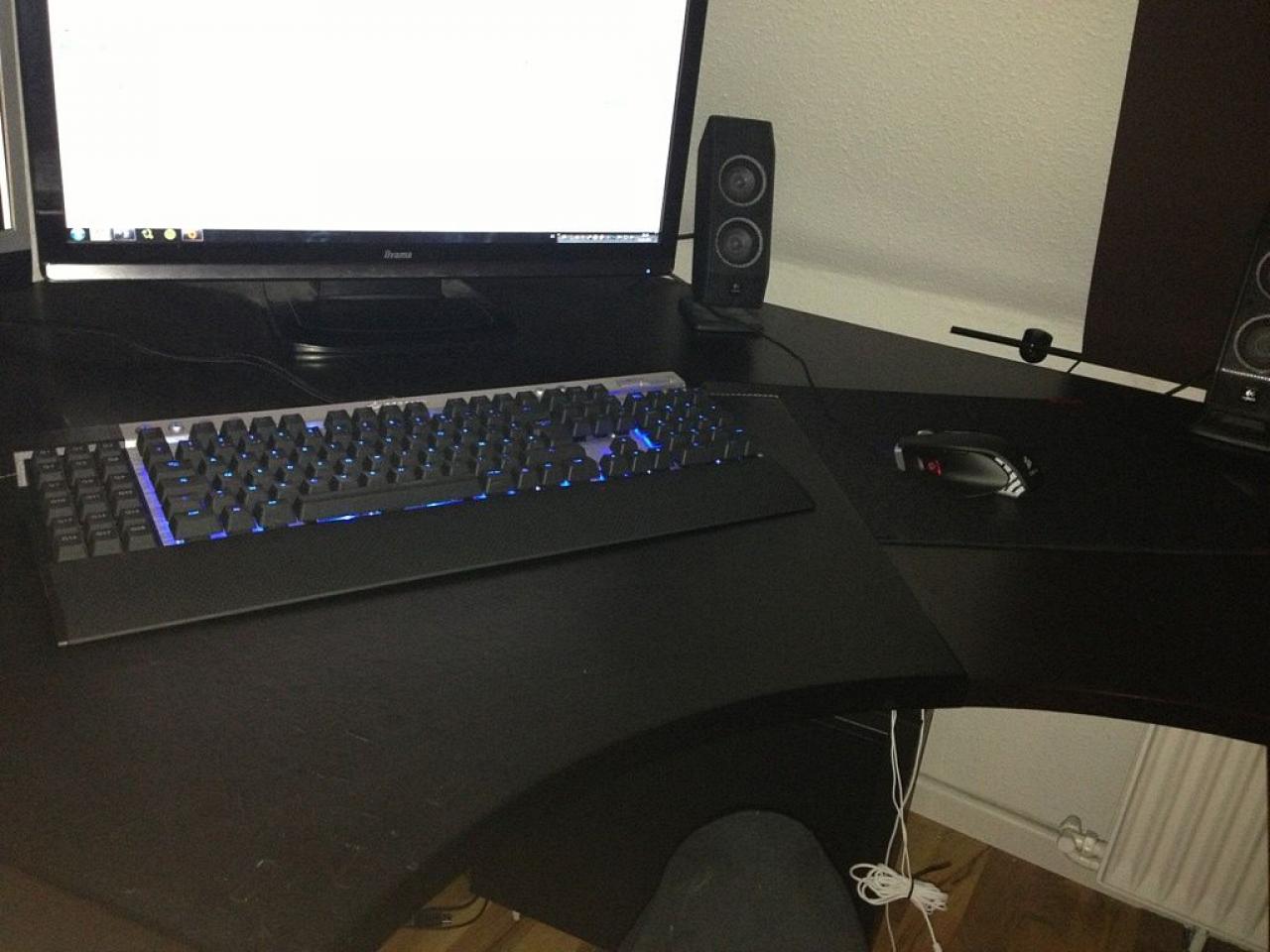 [14/06/2013] Update vom 17.06.: Lackierte Modding-Maus mit Schwanz und Höckern (22)