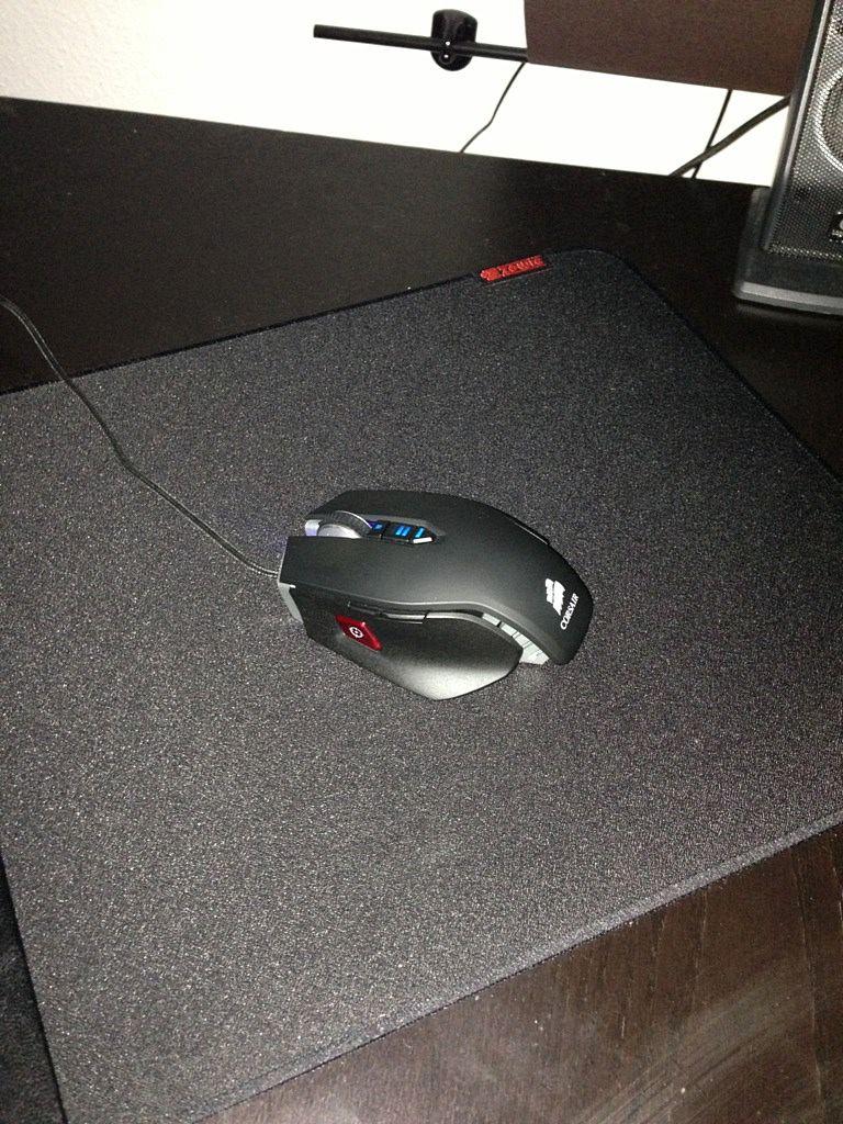 [14/06/2013] Update vom 17.06.: Lackierte Modding-Maus mit Schwanz und Höckern (24)
