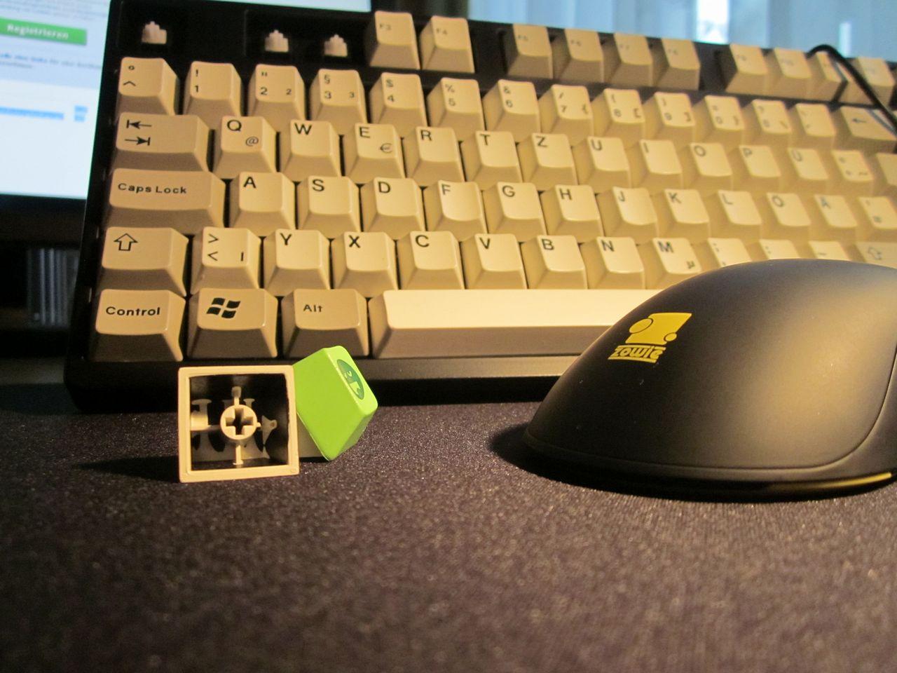 [14/06/2013] Update vom 17.06.: Lackierte Modding-Maus mit Schwanz und Höckern (27)