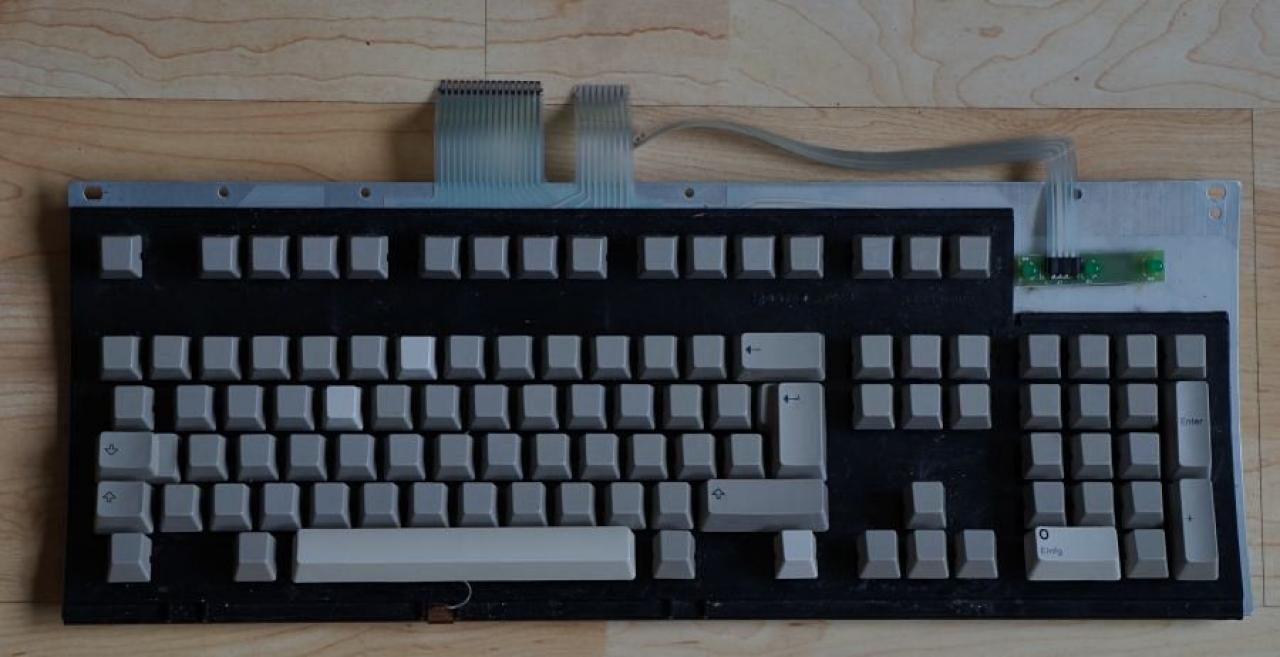 [14/06/2013] Update vom 17.06.: Lackierte Modding-Maus mit Schwanz und Höckern (31)