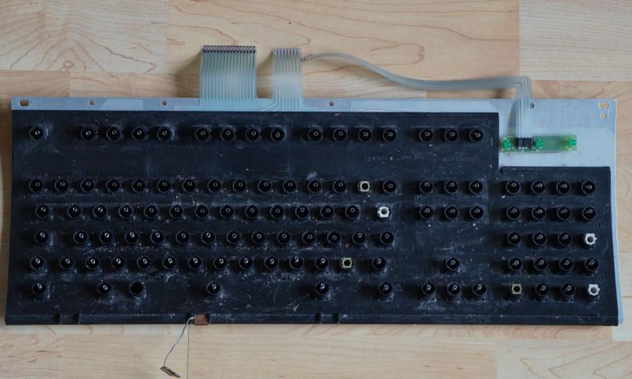[14/06/2013] Update vom 17.06.: Lackierte Modding-Maus mit Schwanz und Höckern (32)