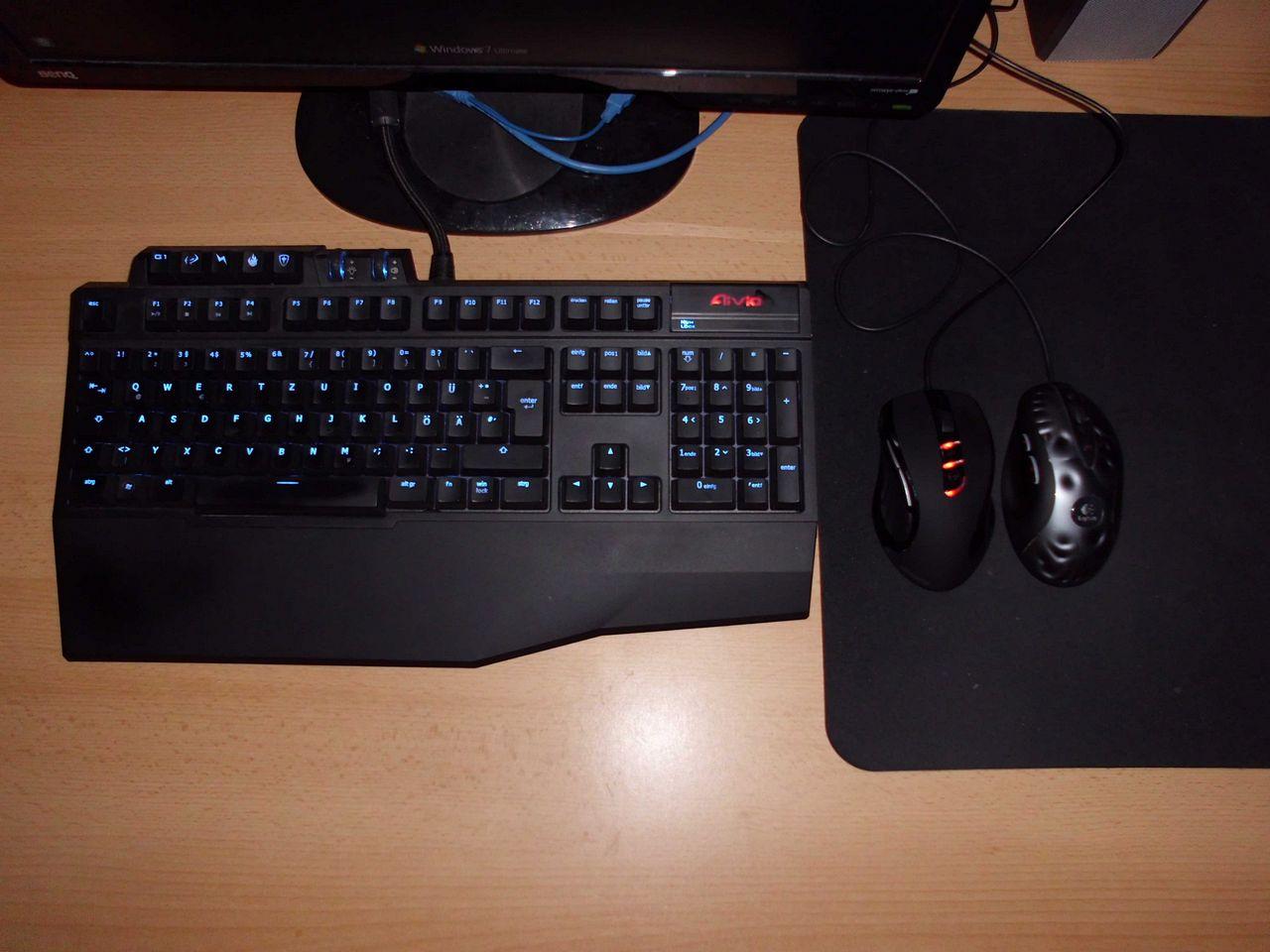 [14/06/2013] Update vom 17.06.: Lackierte Modding-Maus mit Schwanz und Höckern (34)
