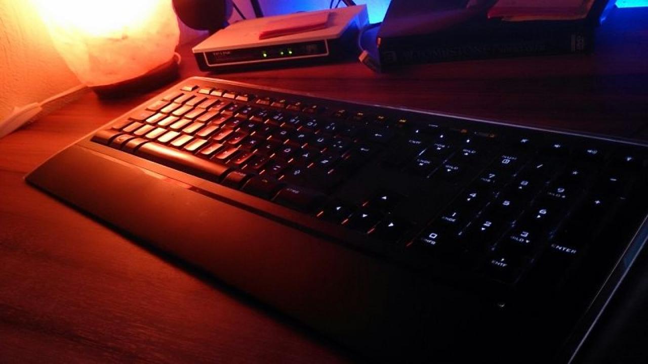 [14/06/2013] Update vom 17.06.: Lackierte Modding-Maus mit Schwanz und Höckern (36)