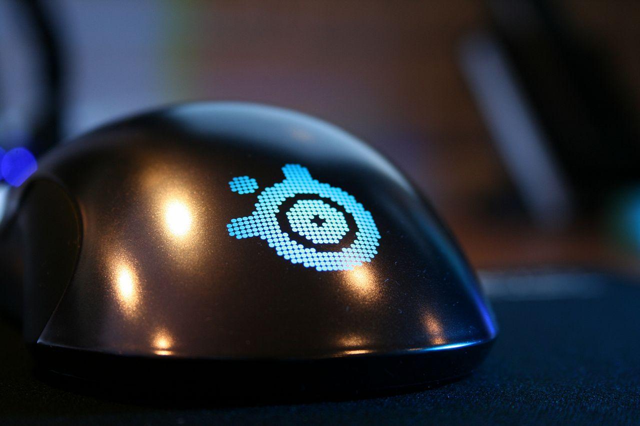 [14/06/2013] Update vom 17.06.: Lackierte Modding-Maus mit Schwanz und Höckern (55)
