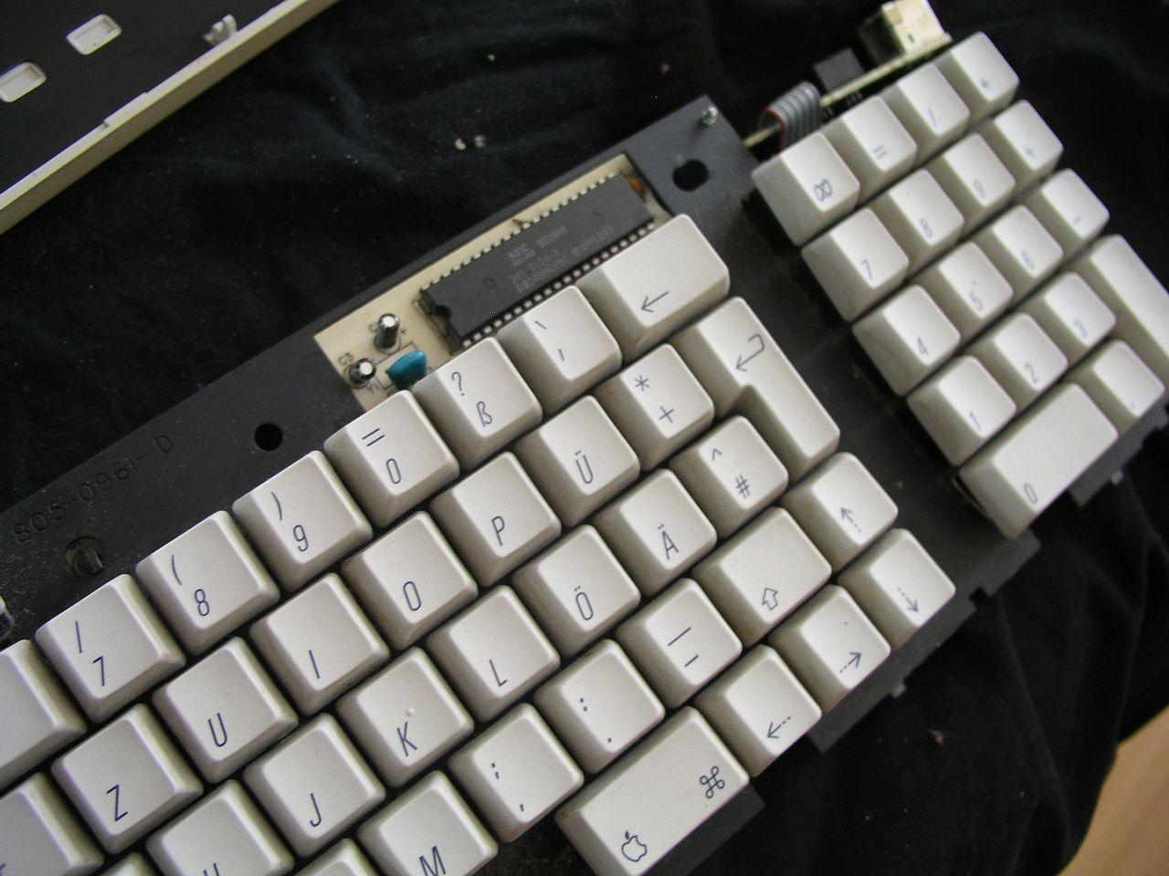 [14/06/2013] Update vom 17.06.: Lackierte Modding-Maus mit Schwanz und Höckern (59)
