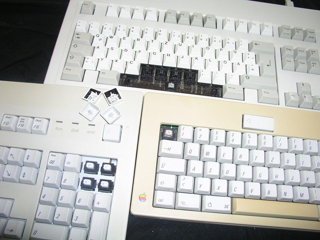 [14/06/2013] Update vom 17.06.: Lackierte Modding-Maus mit Schwanz und Höckern (61)