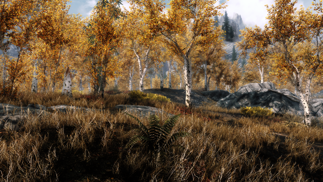 PCGH-ENB SSAO AOAmount=1.0, AOIntensity=3.0