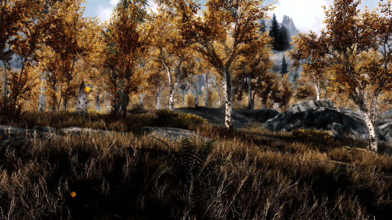 PCGH-ENB SSAO AOAmount=3.0, AOIntensity=3.0