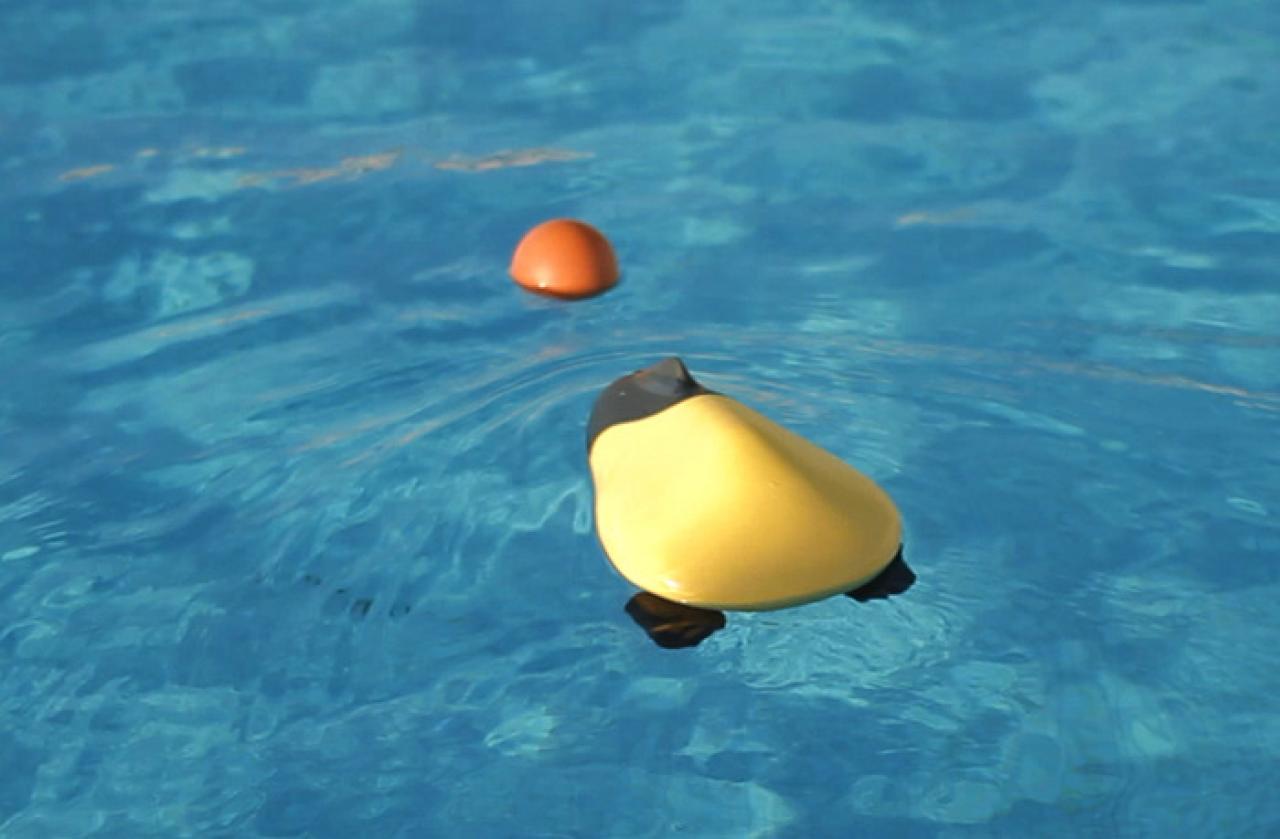 [08/07/2013] Raspberry Pi kann schwimmen. Zumindest wenn die Kickstarter-Kampagne von Ziphius erfolgreich abgeschlossen wird. Mehr Infos