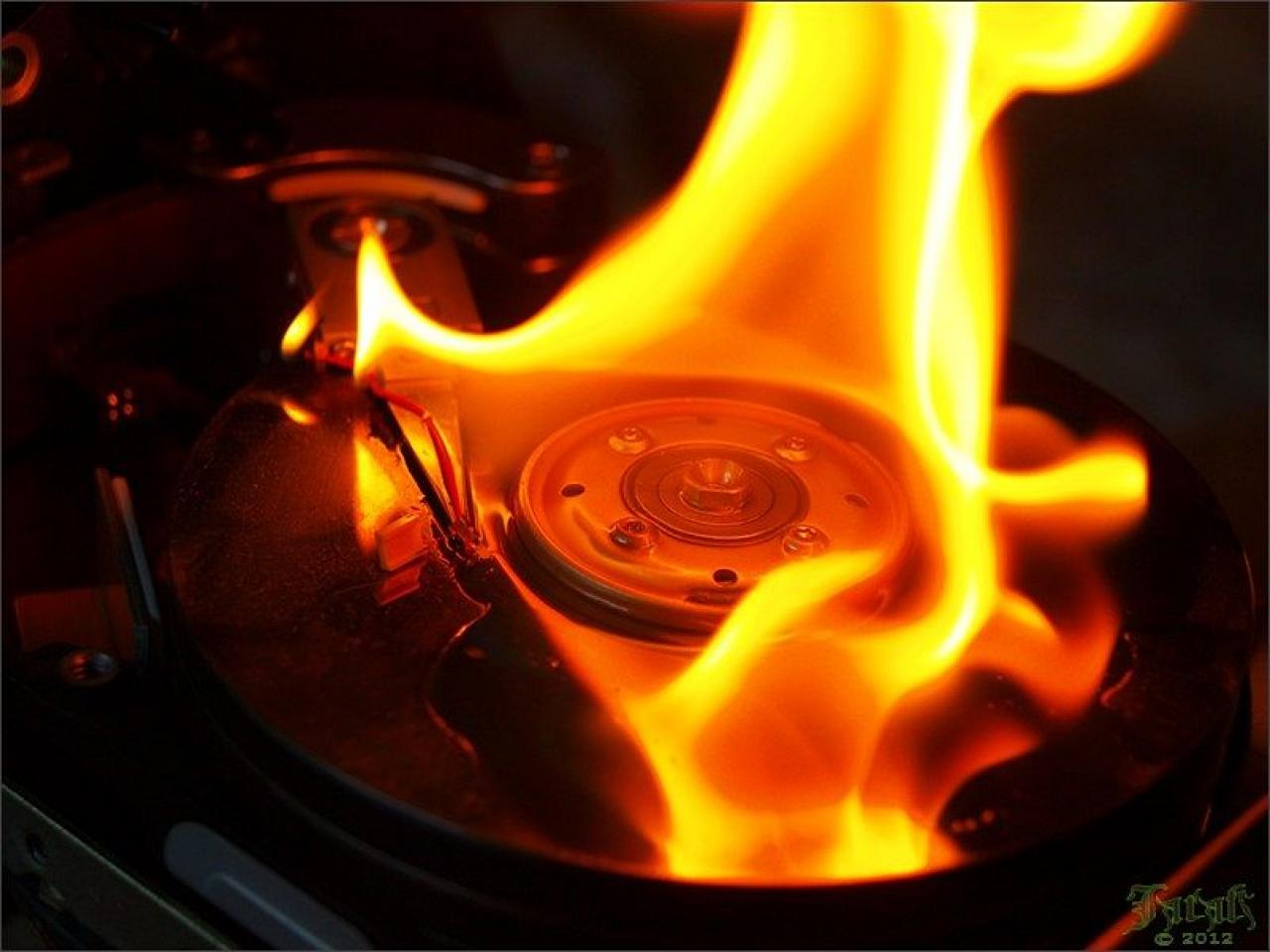 [21/08/2013] Update vom 21.08.: Datenträger in Flammen und im Matsch (1)