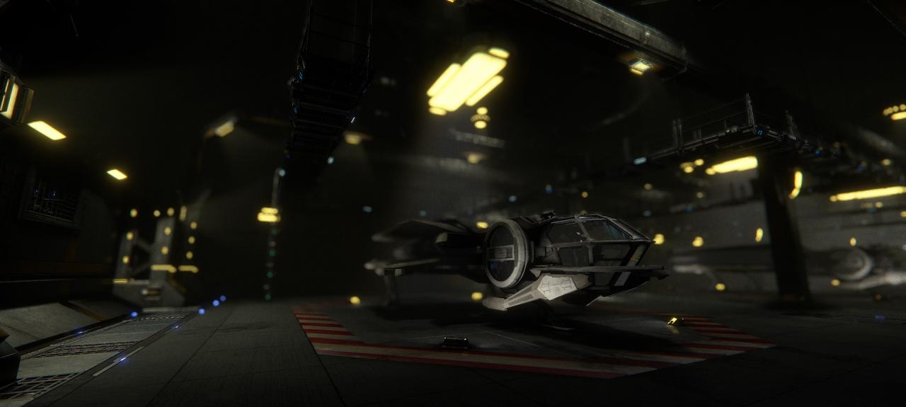[24/08/2013] Star Citizen Hangar: Impressionen (1)
