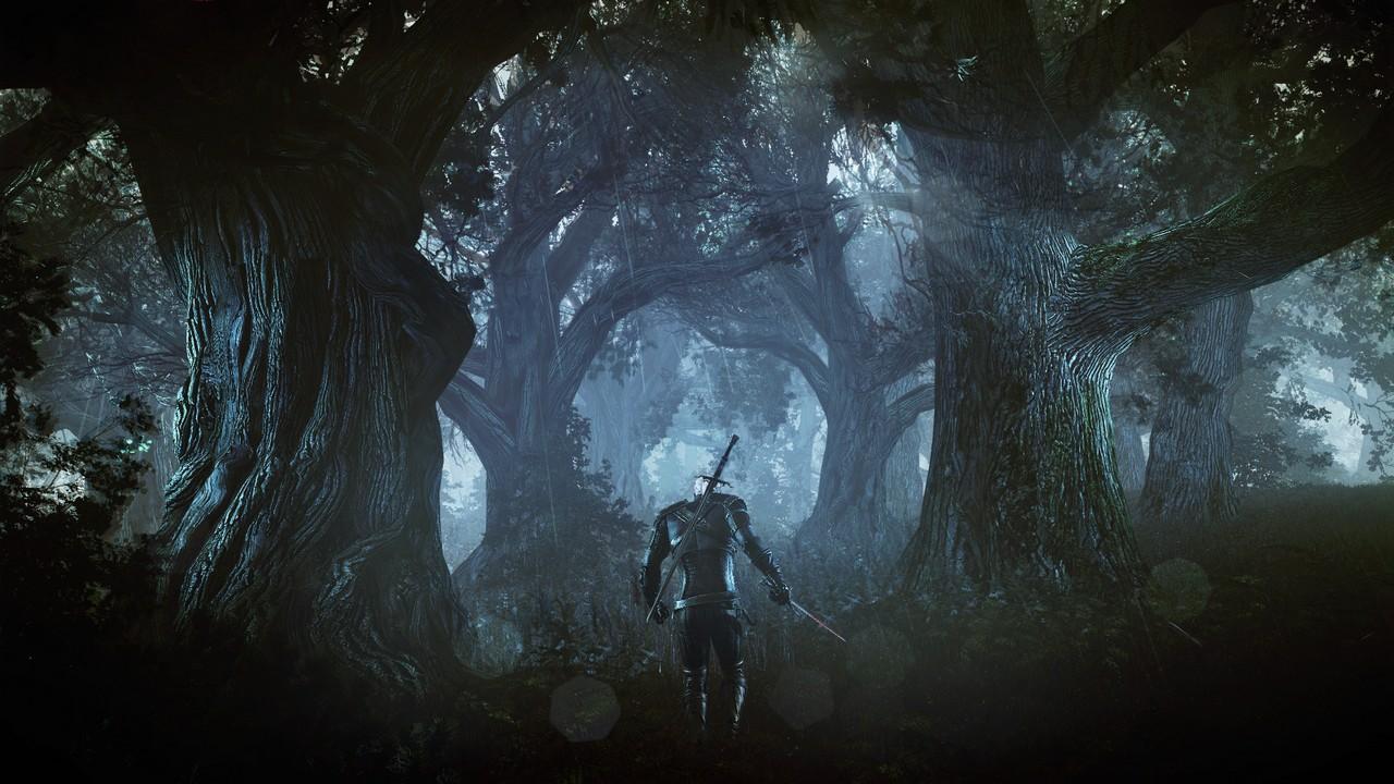 [21/08/2013] 21.03.2013: Geralt alleine in einem dunklen und tiefen Wald