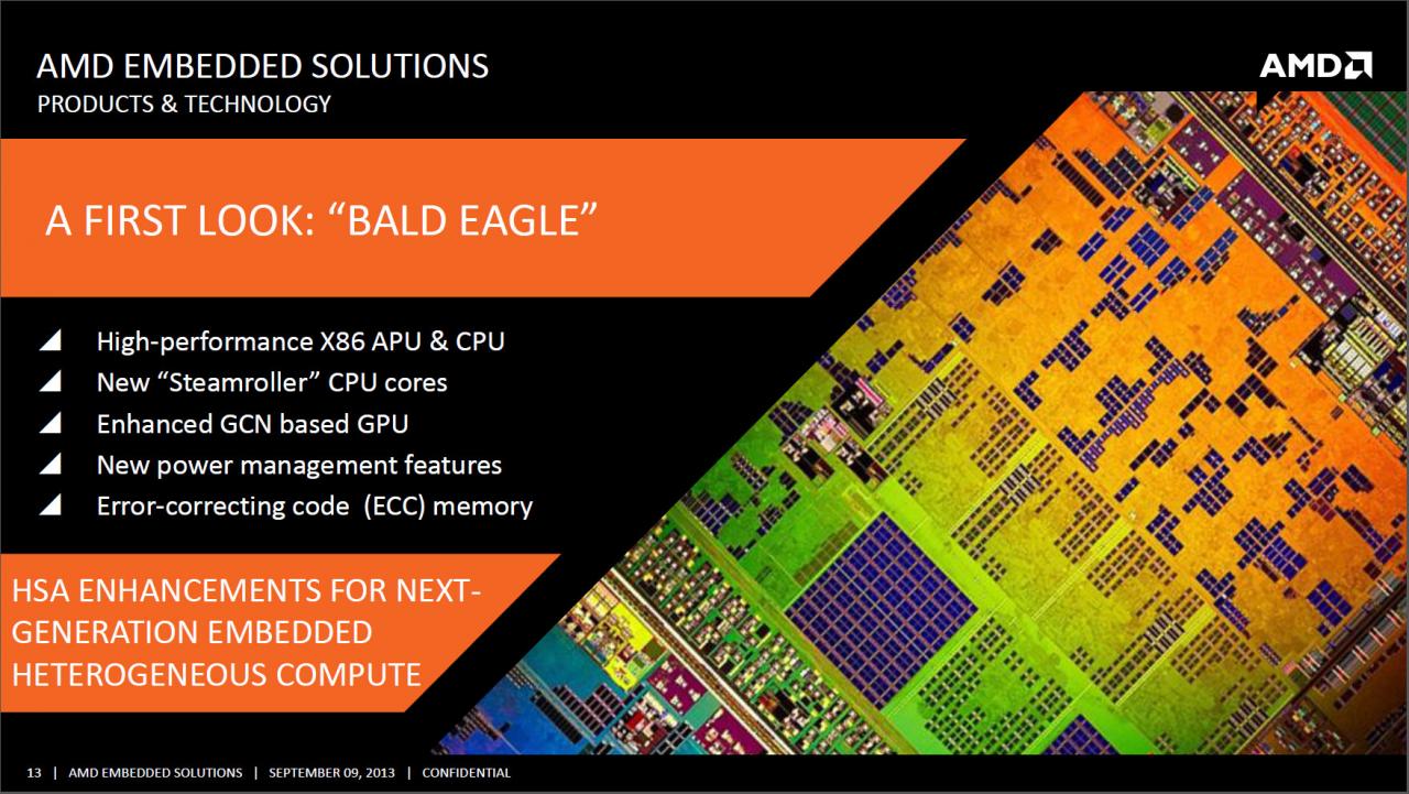 [10/09/2013] Bald Eagle: High-Performance APU
