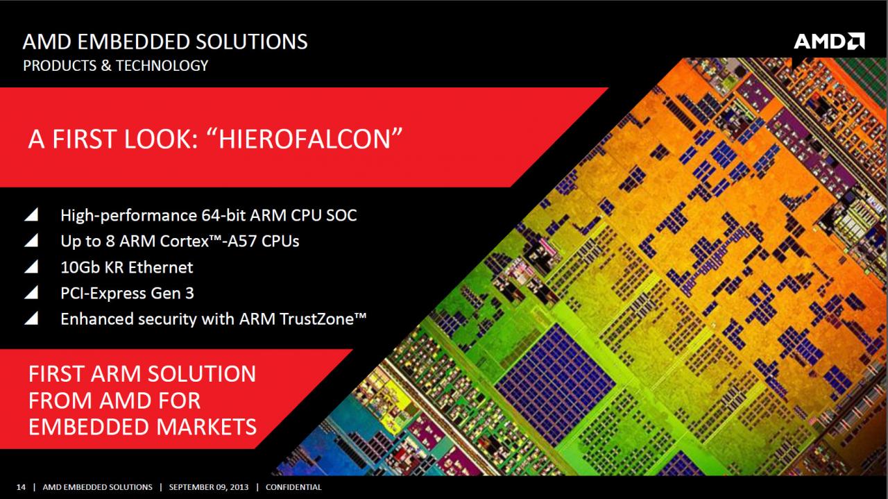 [10/09/2013] Hierofalcon-SoC