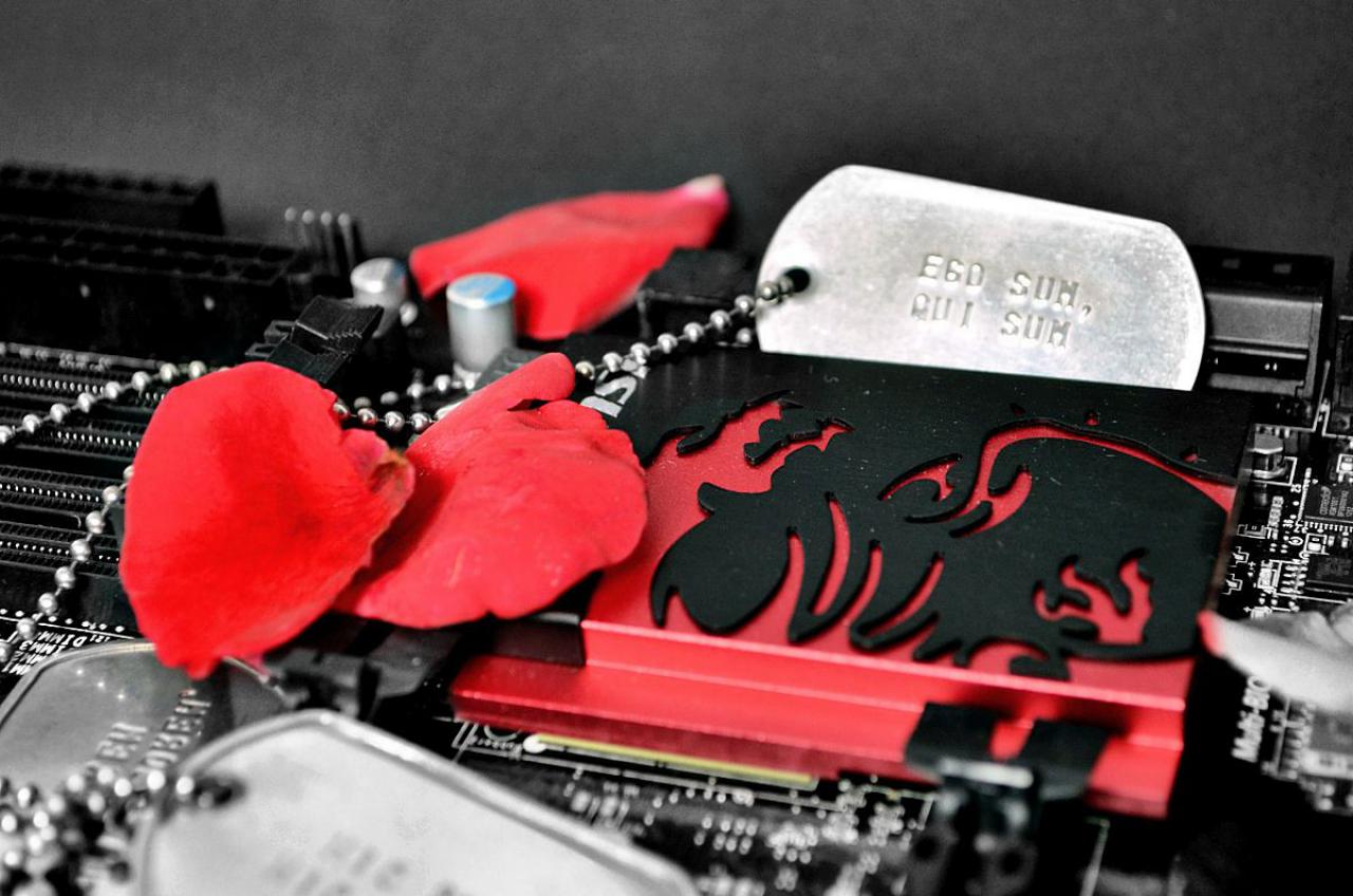 [12/09/2013] So spektakulär wurde Hardware wohl noch nie in Szene gesetzt: PCGHX-Mitglied Jarafi im Community-Porträt (69)