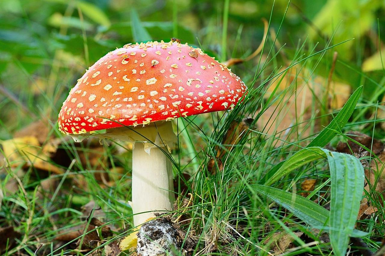 [18/10/2013] Foto von Schrauberopi