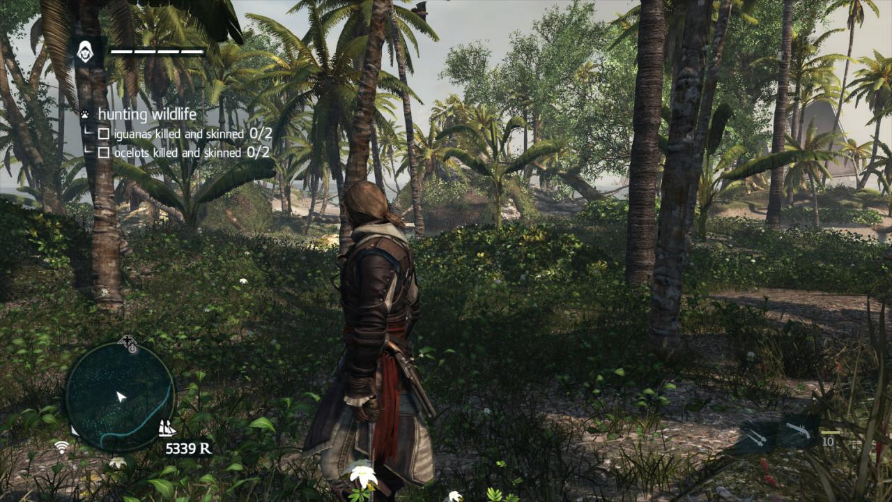 [22/11/2013] AC4 Black Flag Vanilla 5 