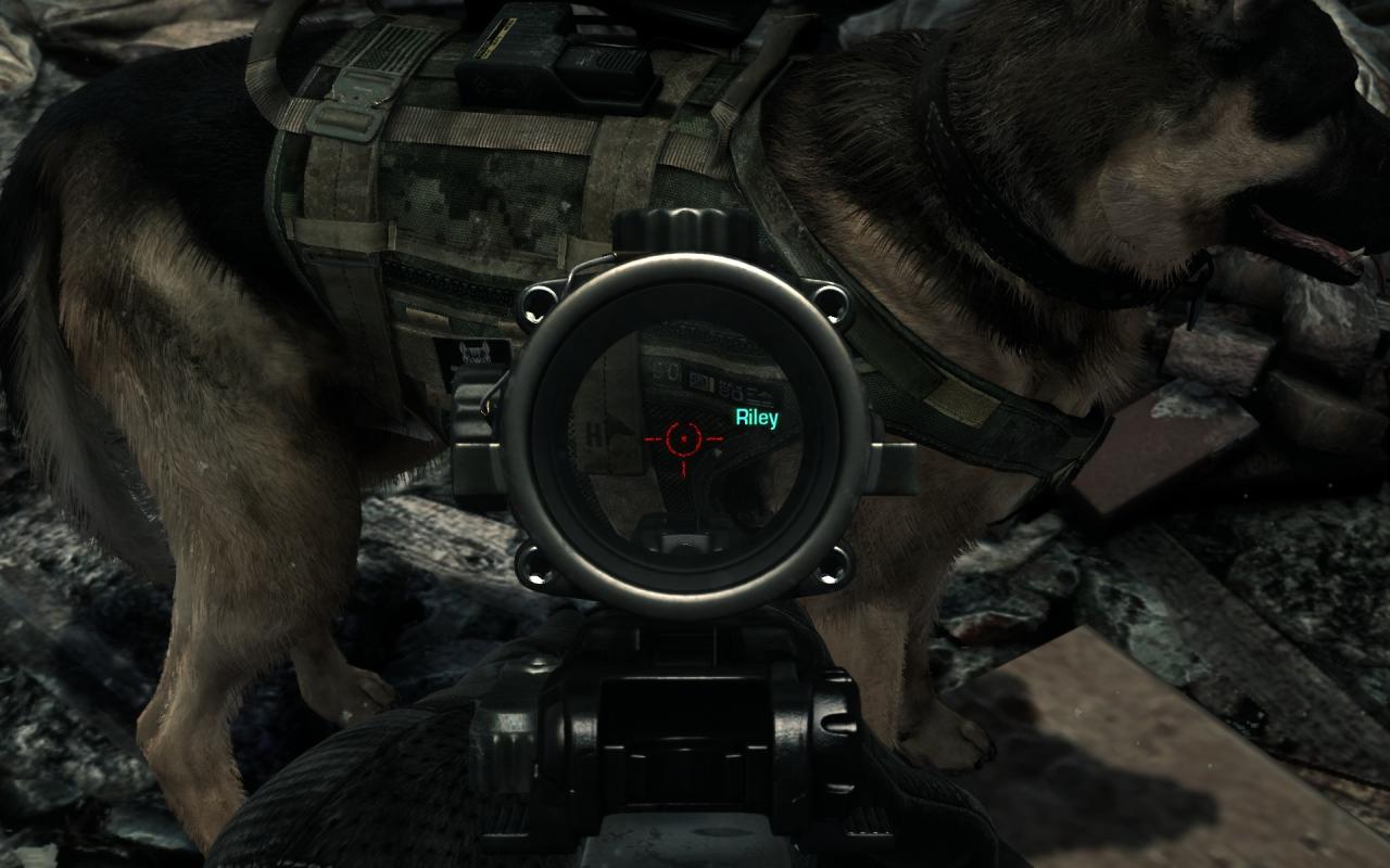 [26/11/2013] Call of Duty Ghosts: Fur Patch (1)