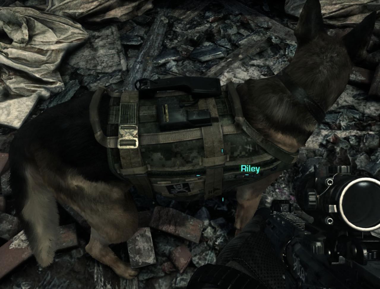 [26/11/2013] Call of Duty Ghosts: Fur Patch (2)