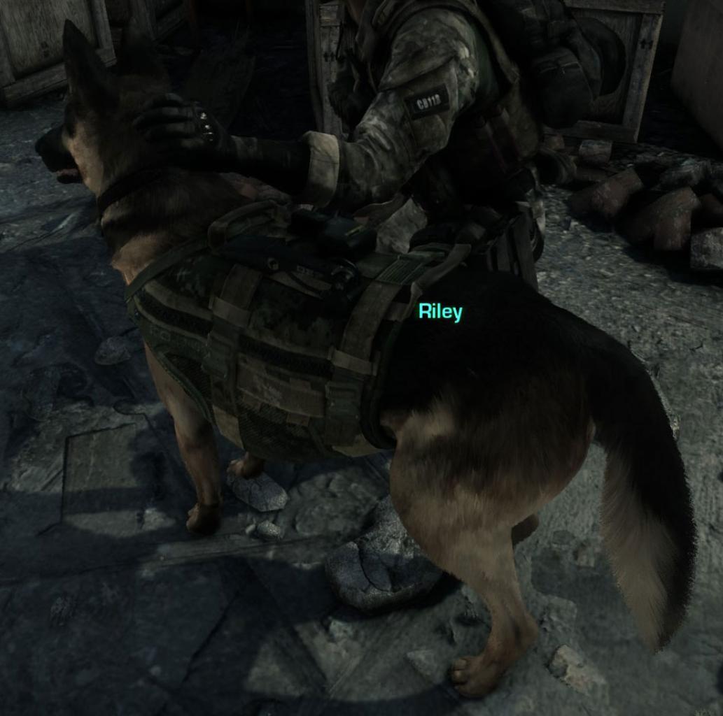 [26/11/2013] Call of Duty Ghosts: Fur Patch (3)